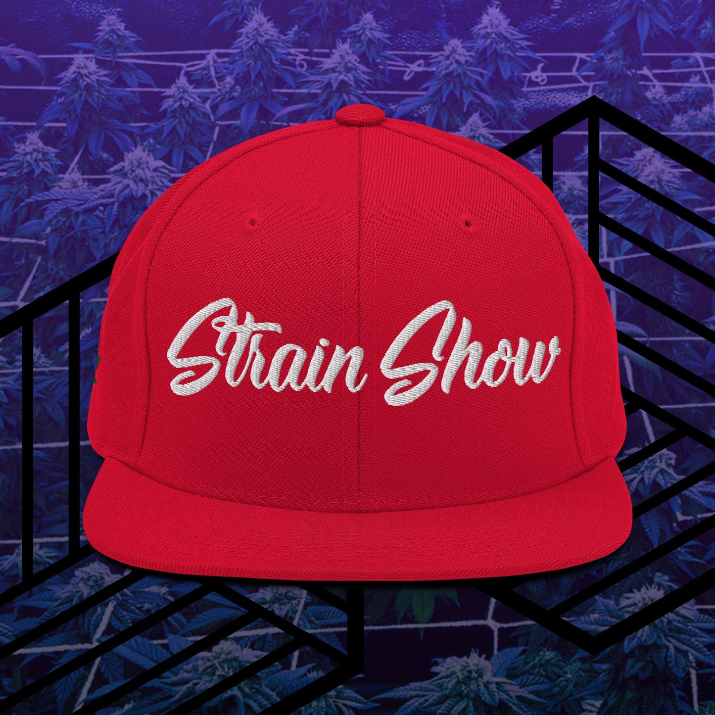 Strain Show Embroidered Snapback