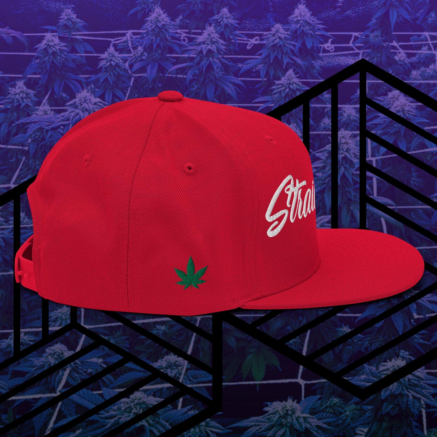 Strain Show Embroidered Snapback