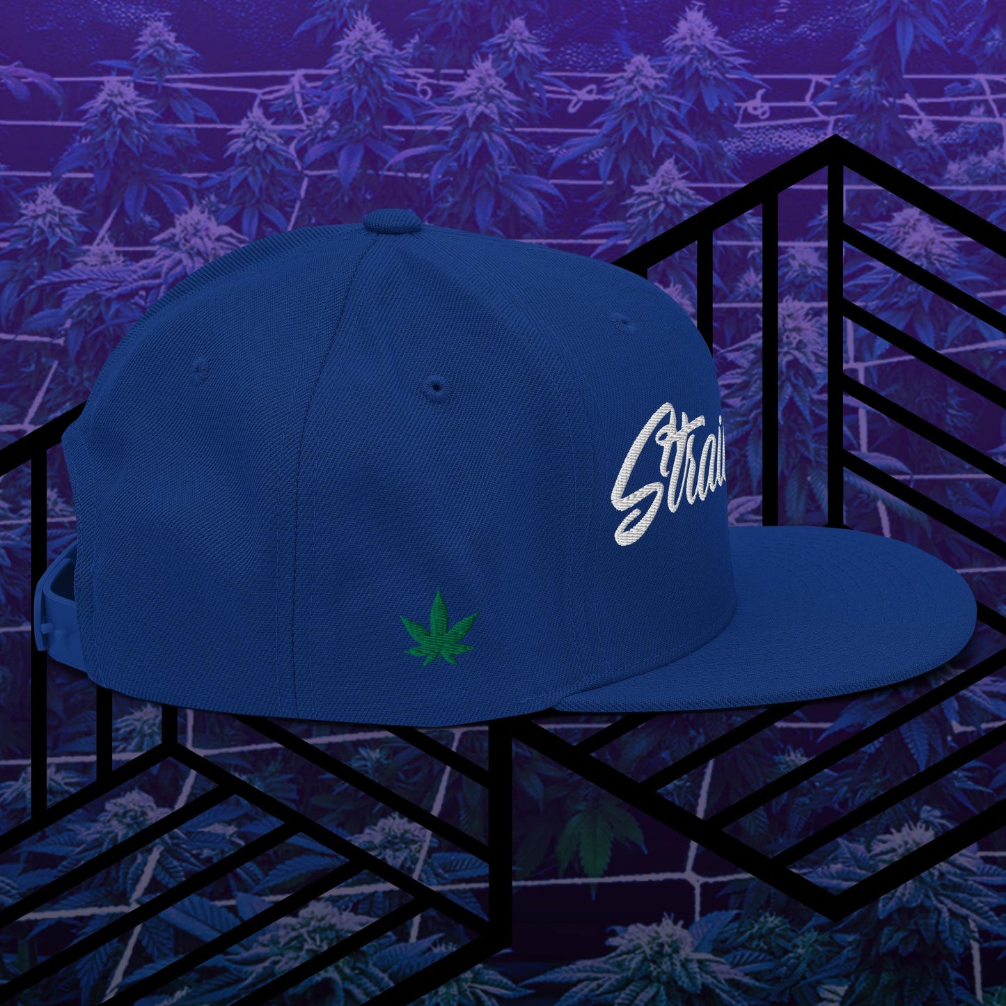 Strain Show Embroidered Snapback