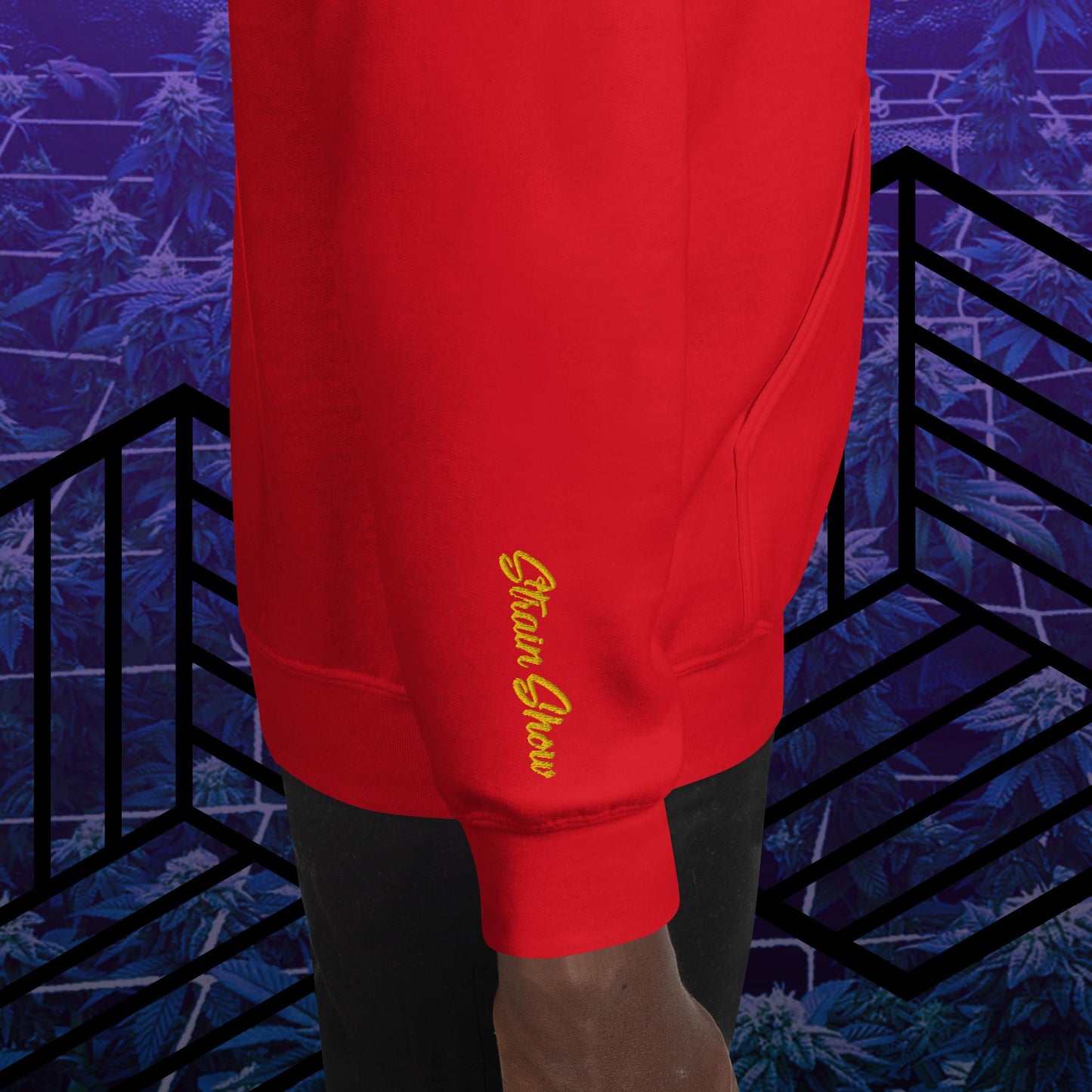 Garden Gang Embroidered Sleeve Hoodie